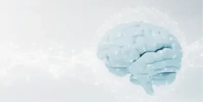 Image of a brain.