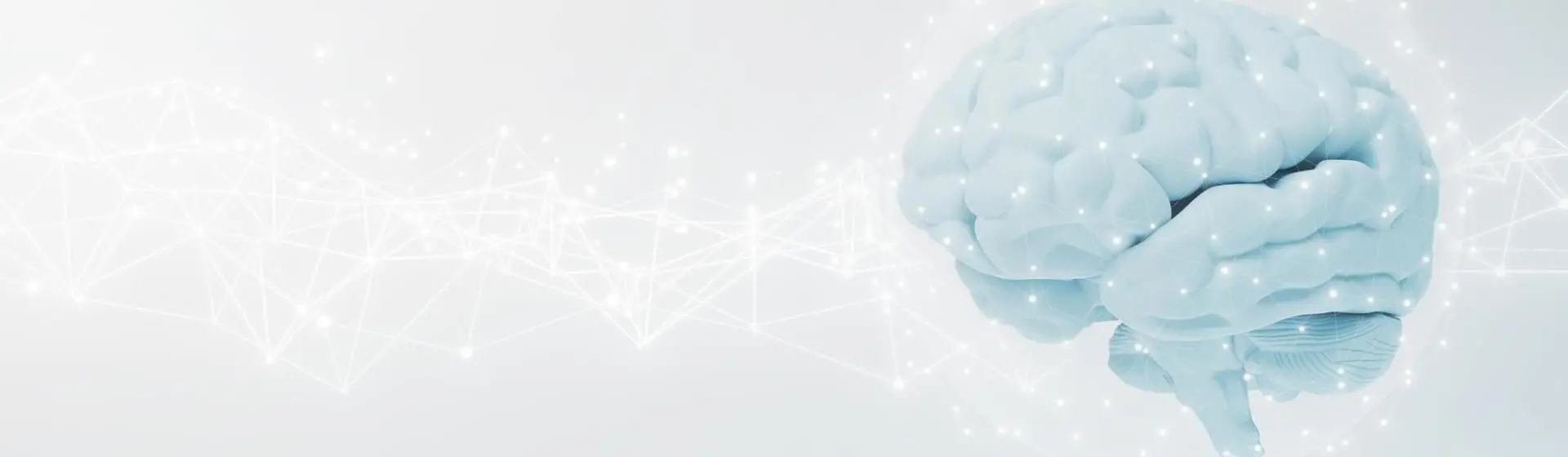 Image of a brain.