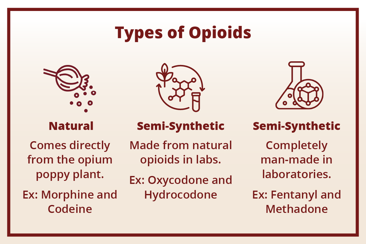 A graphic showing the different type of opioids