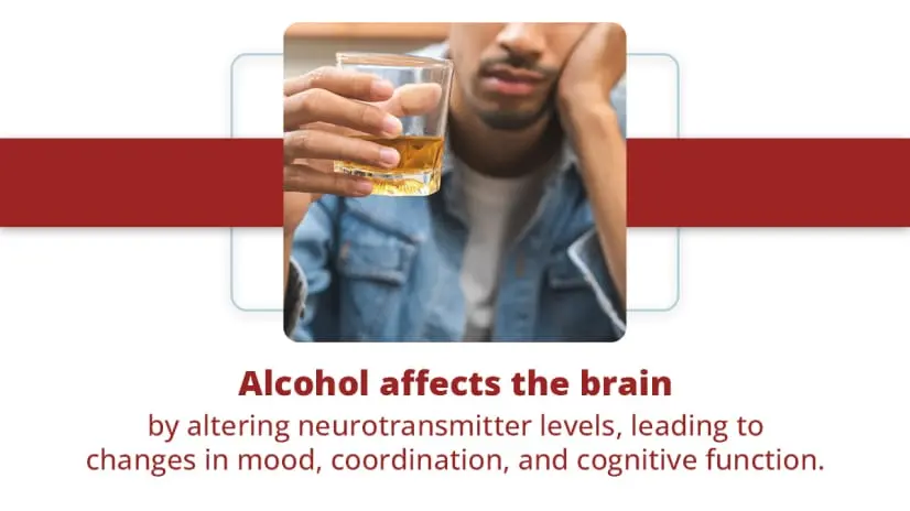 Alcohol affects the brain by altering neurotransmitter levels, leading to changes in mood, coordination, and cognitive function.