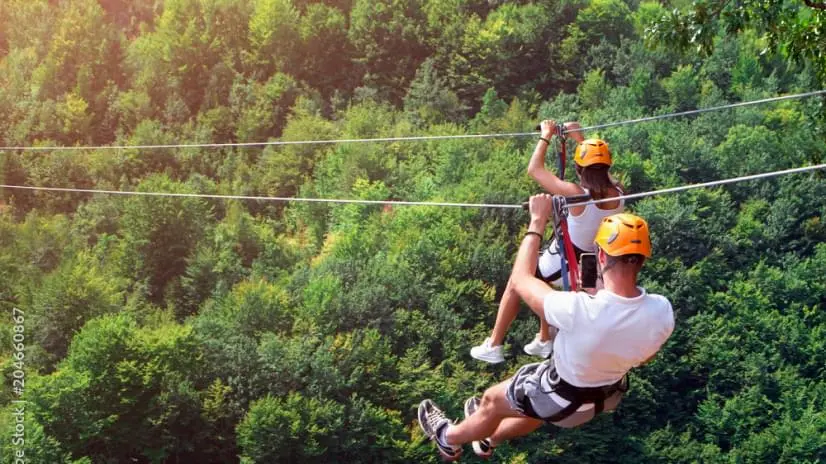 The Grafton Zipline