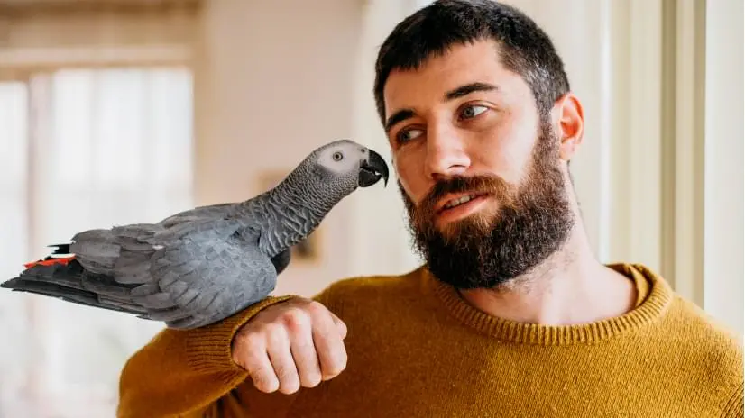 Man with parrot on shoulder.