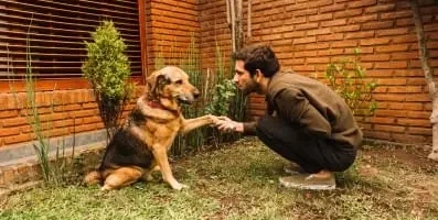 Man with pet dog.