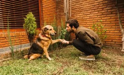 Man with pet dog.