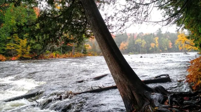 A beautiful park located in Michigan