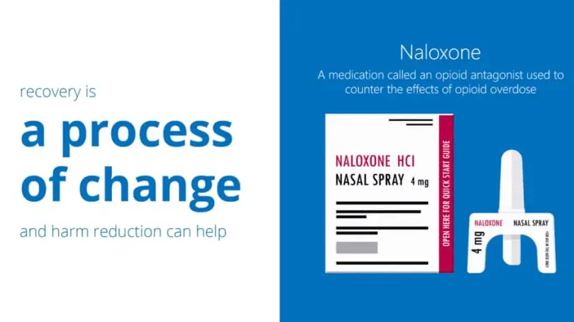 recovery is a process of change and harm reduction can help.