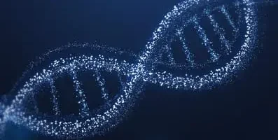 An image of DNA.