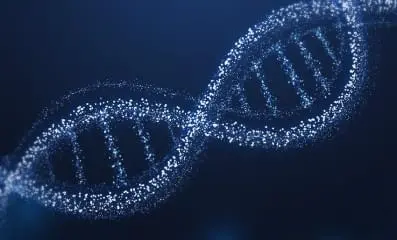 An image of DNA.