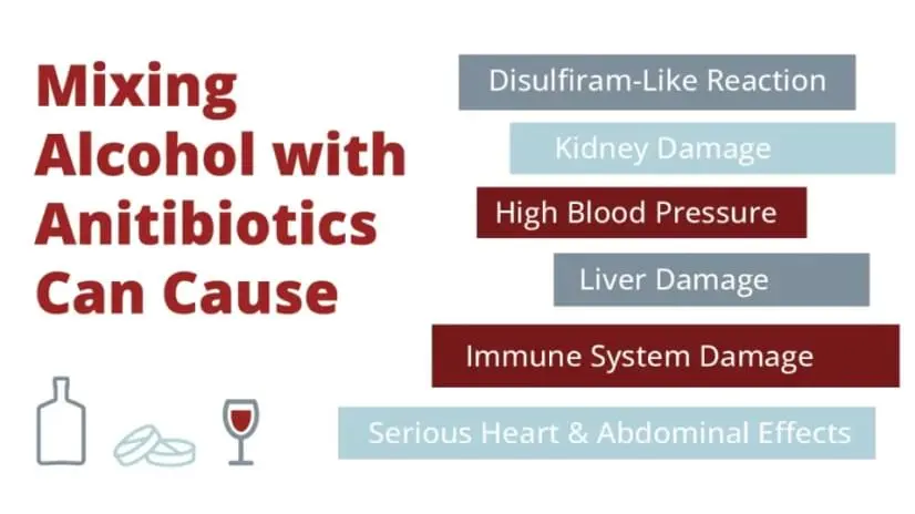 Image explaining why shouldn’t be alcohol used with antibiotics