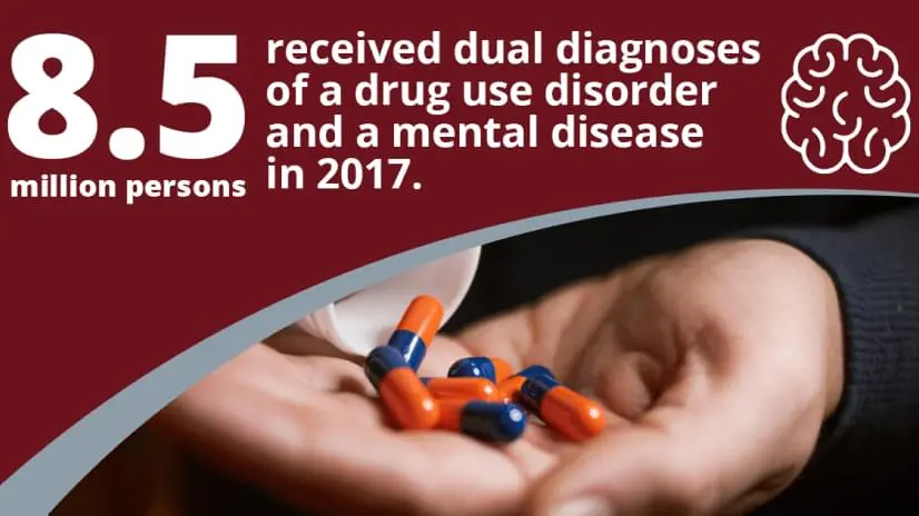 Explained text: 8.5 million persons received dual diagnoses of a drug use disorder and a mental disease in 2017