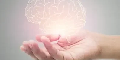 Hand holding an image of a brain.