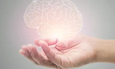 Hand holding an image of a brain.