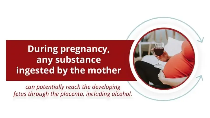 Pregnant woman holding a glass of red wine. Text explains any substance ingested by the mother can potentially reach the fetus.