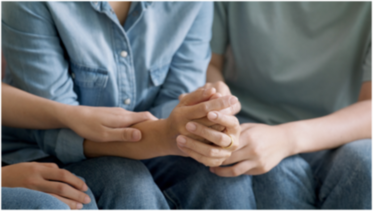 The Family Program at ICFR