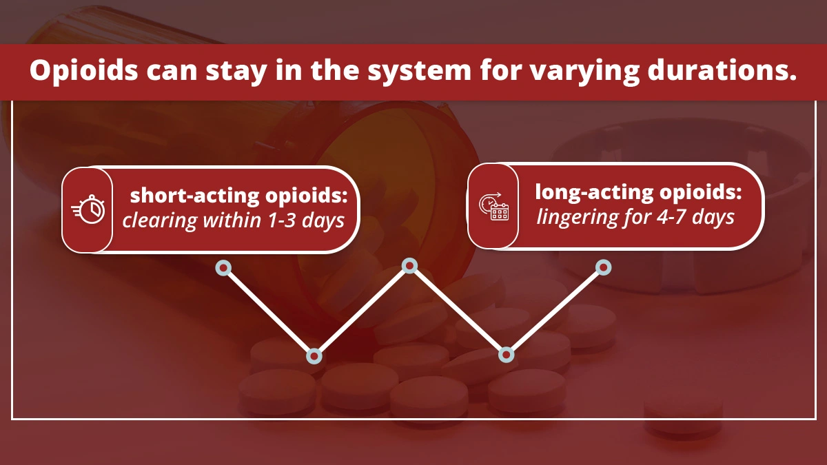 
A text box at the top reads, "Opioids can stay in the system for varying durations." Below, an infographic shows two categories: "short-acting opioids: clearing within 1-3 days" on the left, and "long-acting opioids: lingering for 4-7 days" on the right. The background image depicts an open bottle of pills spilling out onto a surface, emphasizing the topic of opioid duration in the system.