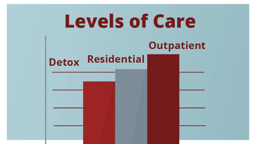 Indiana Center for Recovery offers various levels of care within our addiction and mental health treatment programs.