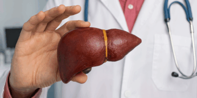 doctor holding a liver