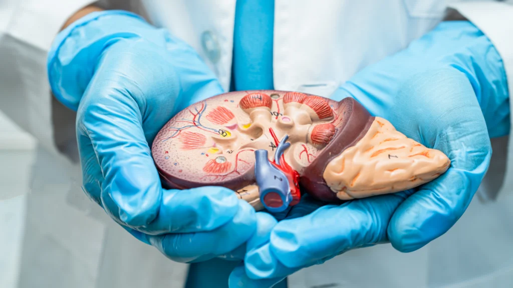 What Is Alcoholic Liver Disease (ALD)