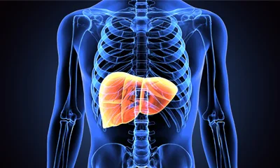  Can Alcohol Cause Liver Cancer?