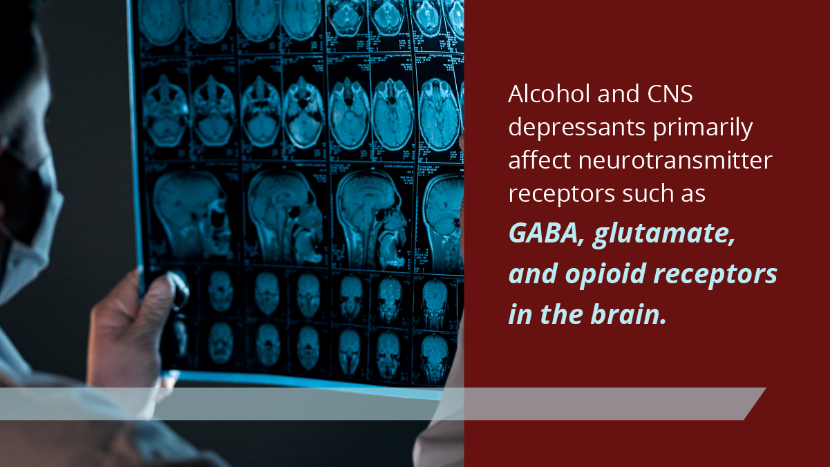brains scans with a graphic describing alcohol's negative effect on the brain