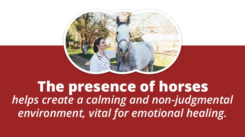The prescence of horses helps create a calming and non-judgmental environment, vital for emotional healing.