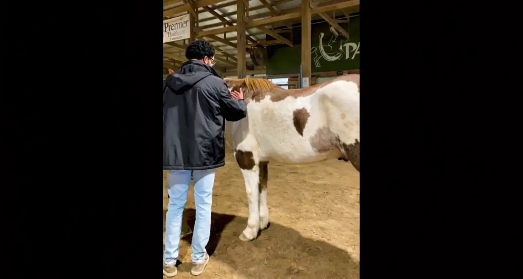 Equine therapy with PALS