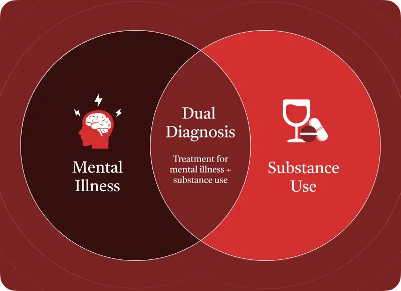 Venn diagram of dual diagnosis concepts