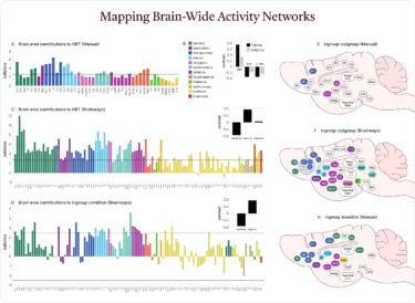 Brain mapping helps answer what kind of help is most likely to work for your brain, which is why it’s valuable even if you’re not considering TMS